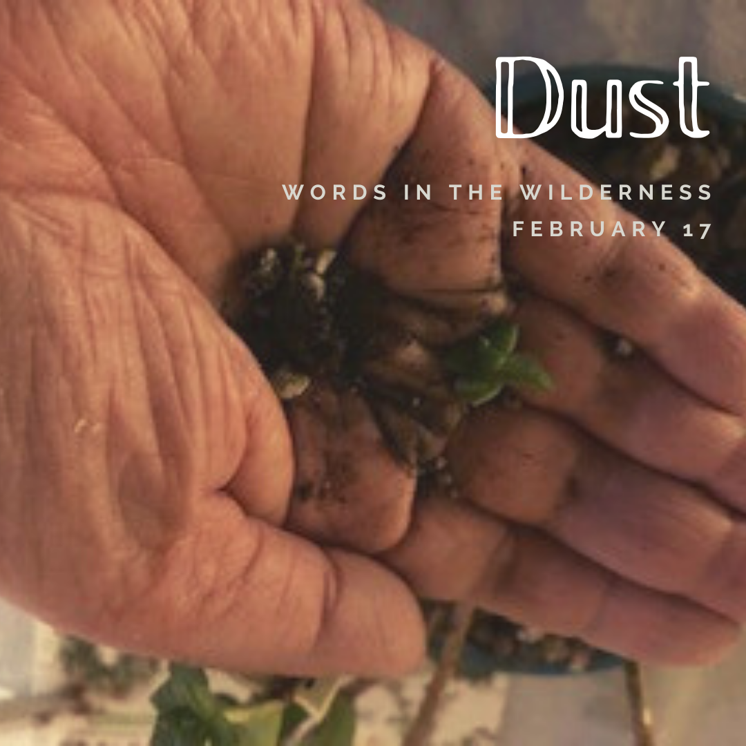 "Dust" | Reflection by Barb Hedberg