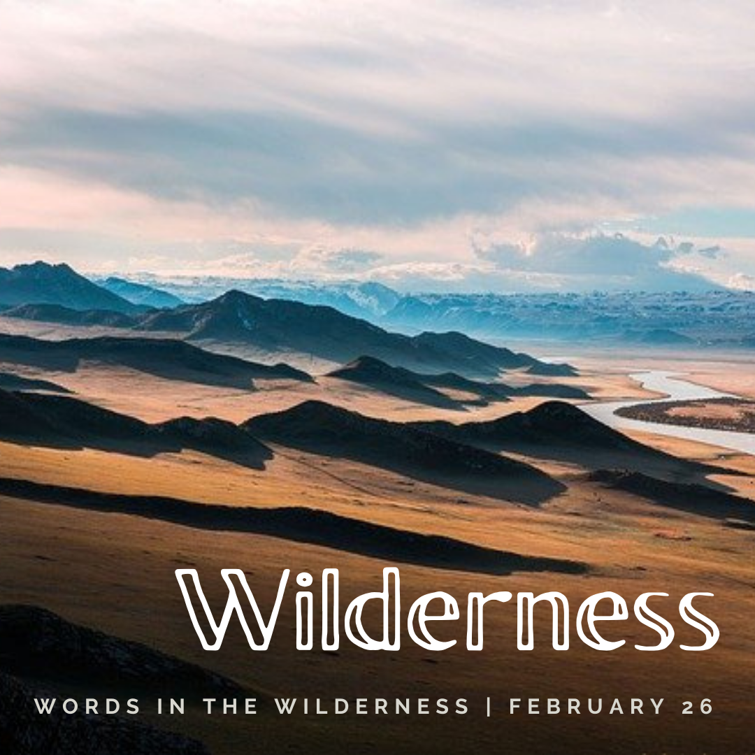 "Wilderness" | Reflection by Donna Violante (Vestry Class of 2024)
