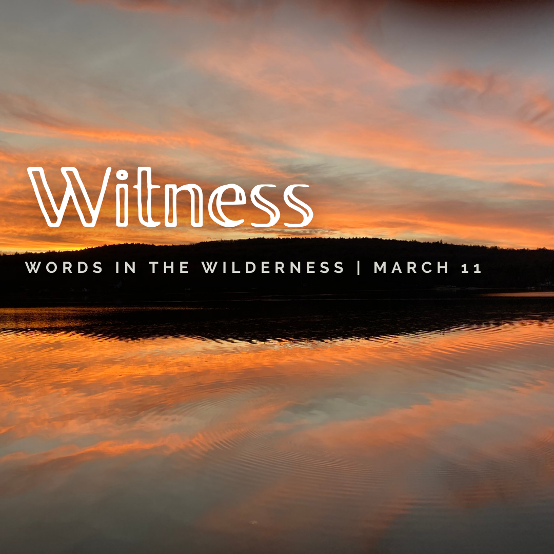"Witness" | Reflection by Bob Dorland (Vestry Class of 2023)
