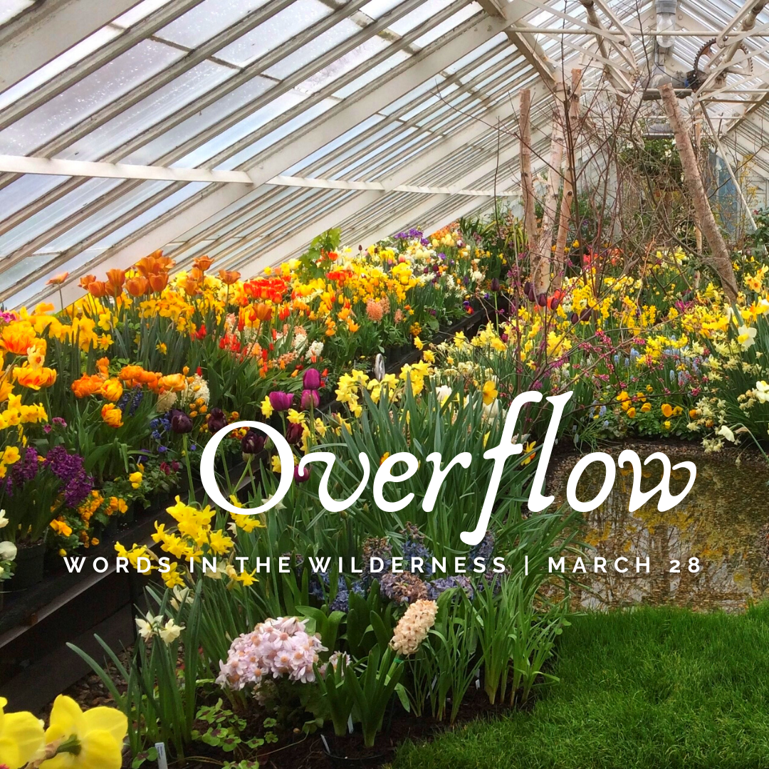 “Overflow” | Reflection by Rev. Christy Stang, Outreach Coordinator 