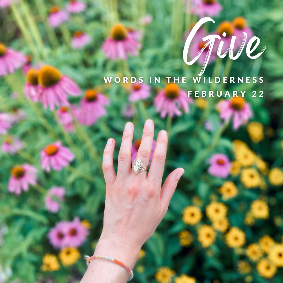 "Give" | Reflection by Kaley Casenhiser, Seminarian