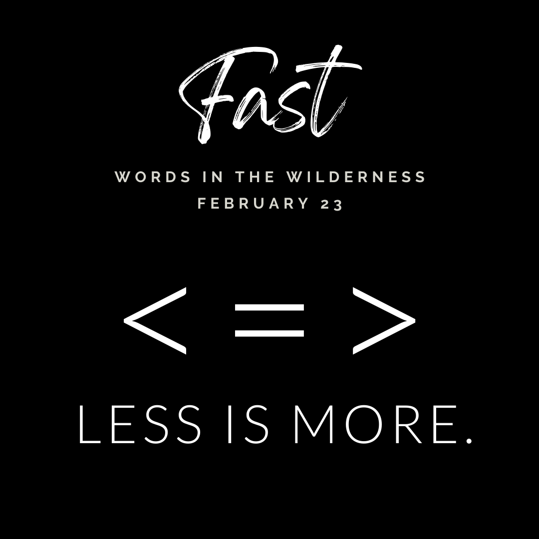 "Fast" | Reflection by the Rev. Luk De Volder