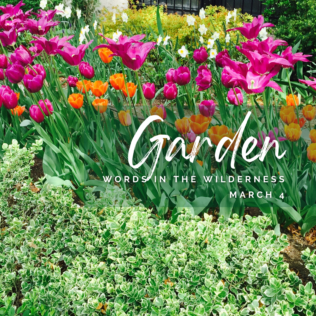 "Garden" | Reflection by Bob Scott