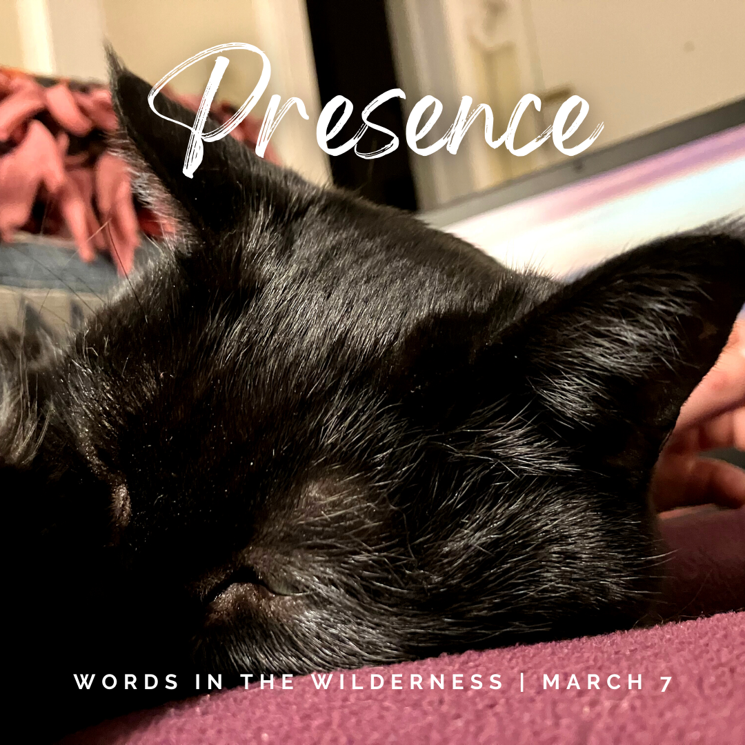 "Presence" | Reflection by Sarah Woodford