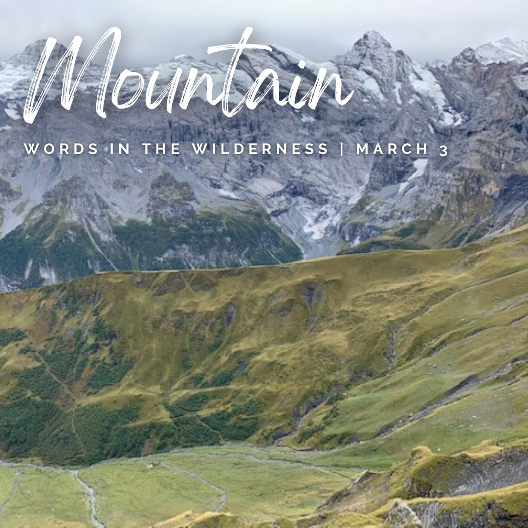 "Mountain" | Reflection by Patricia Thurston