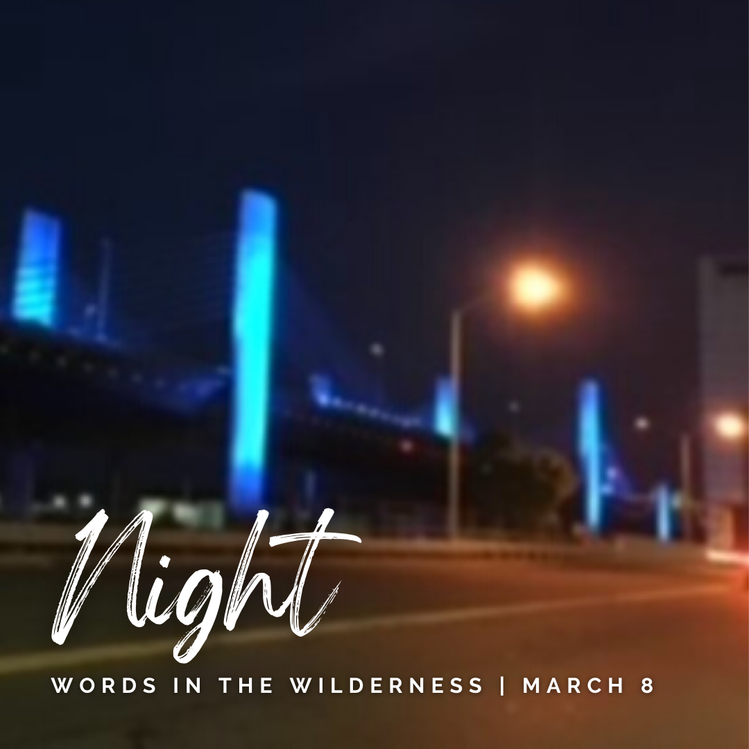 "Night" | Reflection by Barb Hedberg