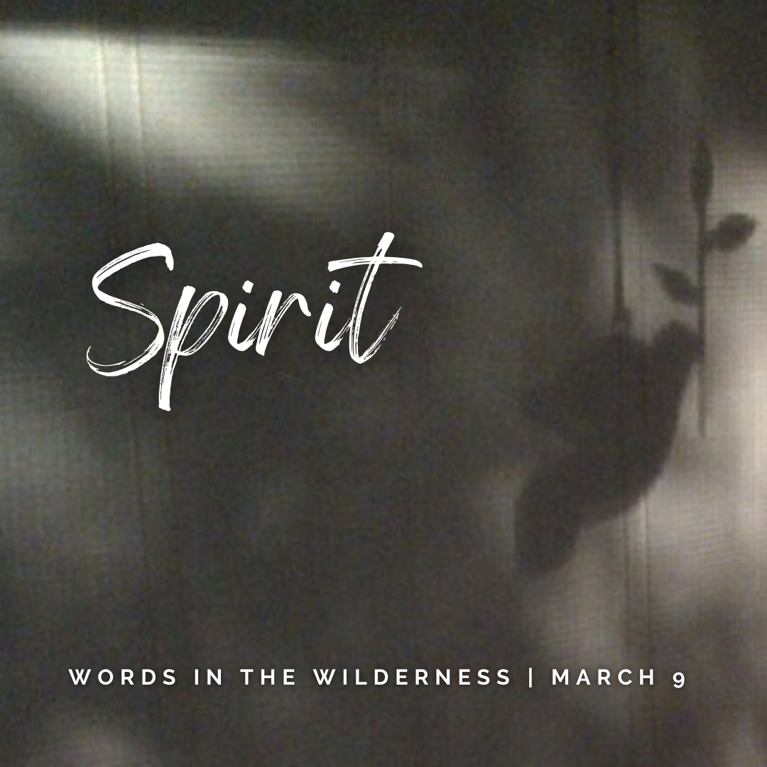 "Spirit" | Reflection by Ellen Freiler