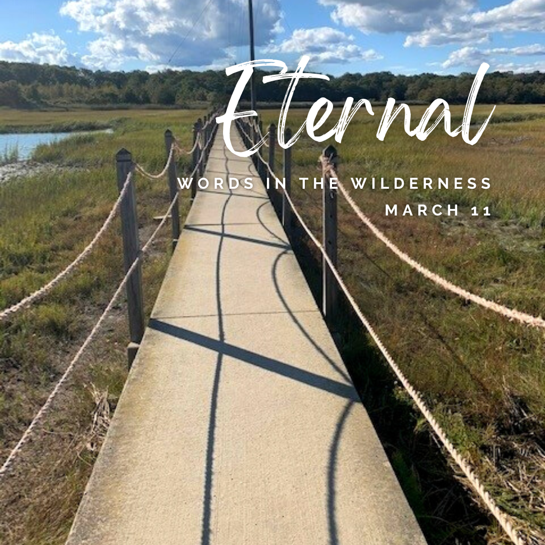 "Eternal" | Reflection by Patricia Thurston