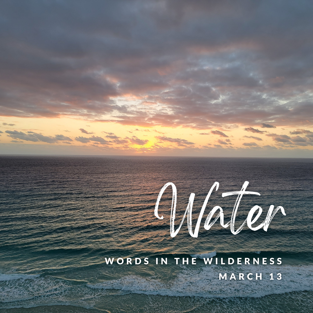 "Water" | Reflection by Linda Torrey