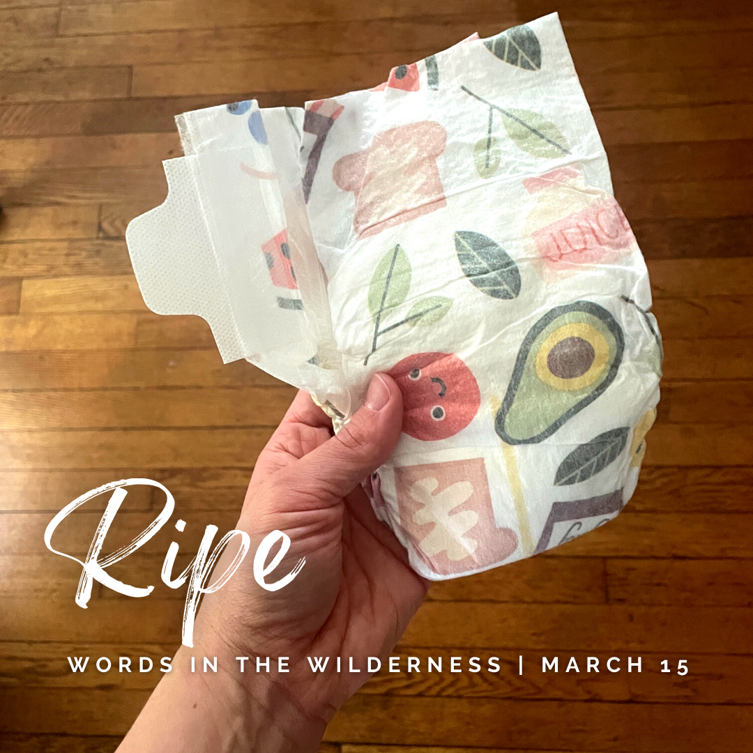 "Ripe" | Reflection by the Rev. Heidi Thorsen
