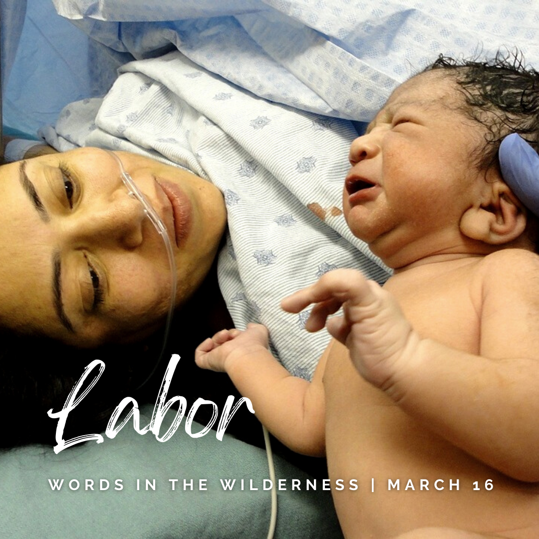 "Labor" | Reflection by the Rev. Charles Lemert