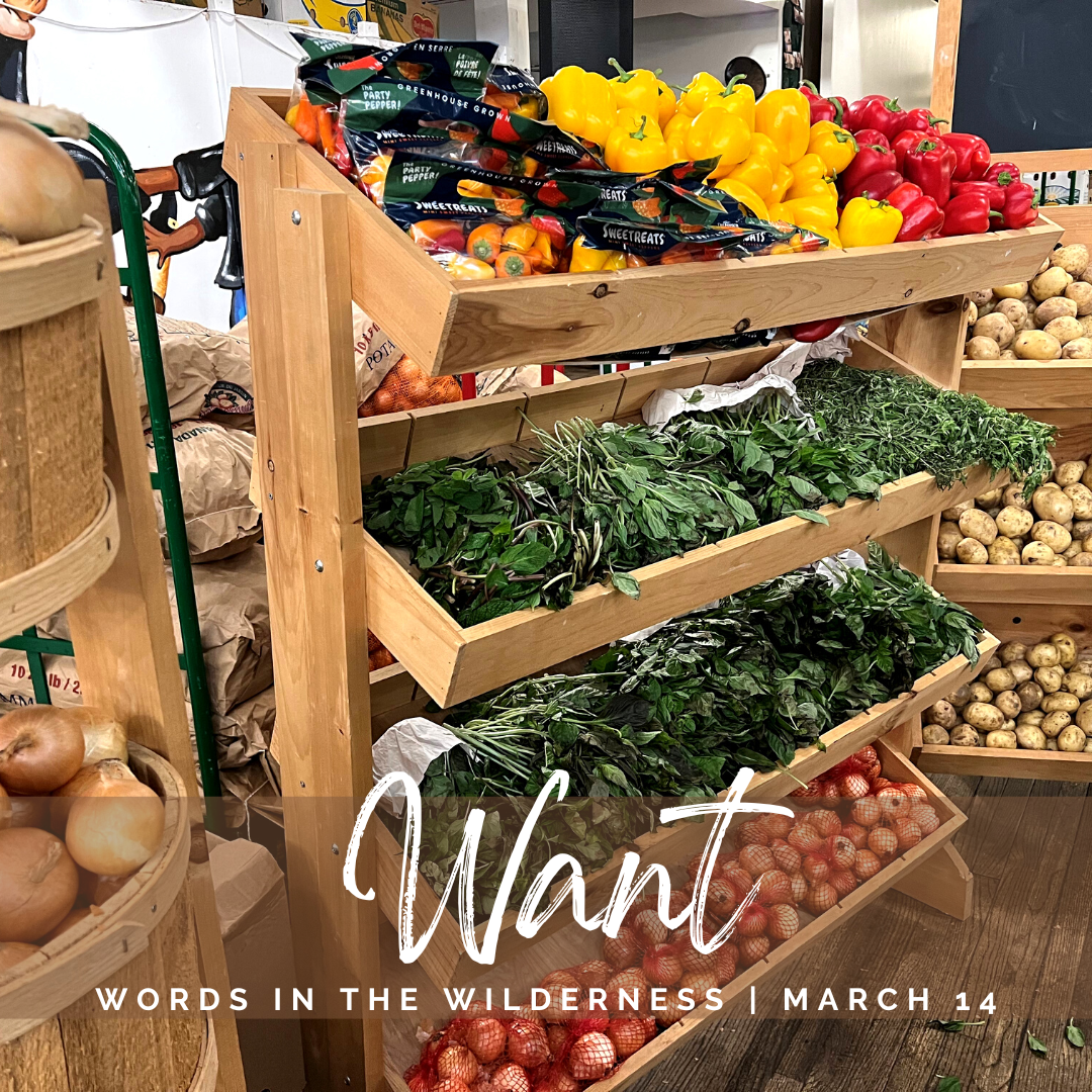 "Want" | Reflection by Lisa Levy, Outreach Coordinator