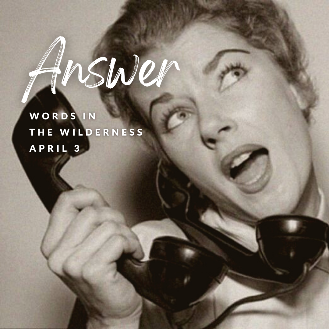 "Answer" | Reflection by Duo Dickinson