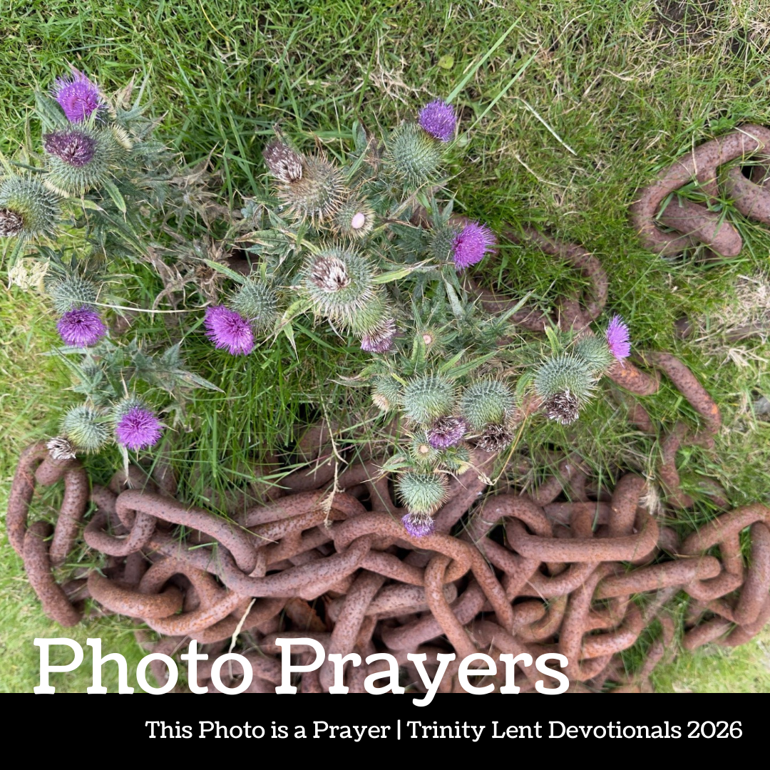 Photo Prayer: from Duo Dickinson