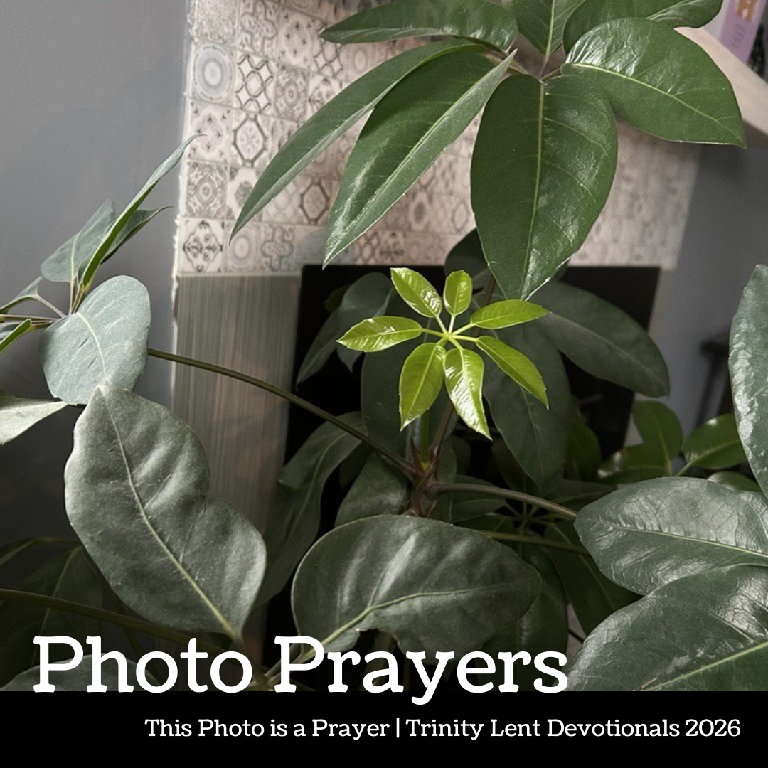 Photo Prayer: from Angela Arpino