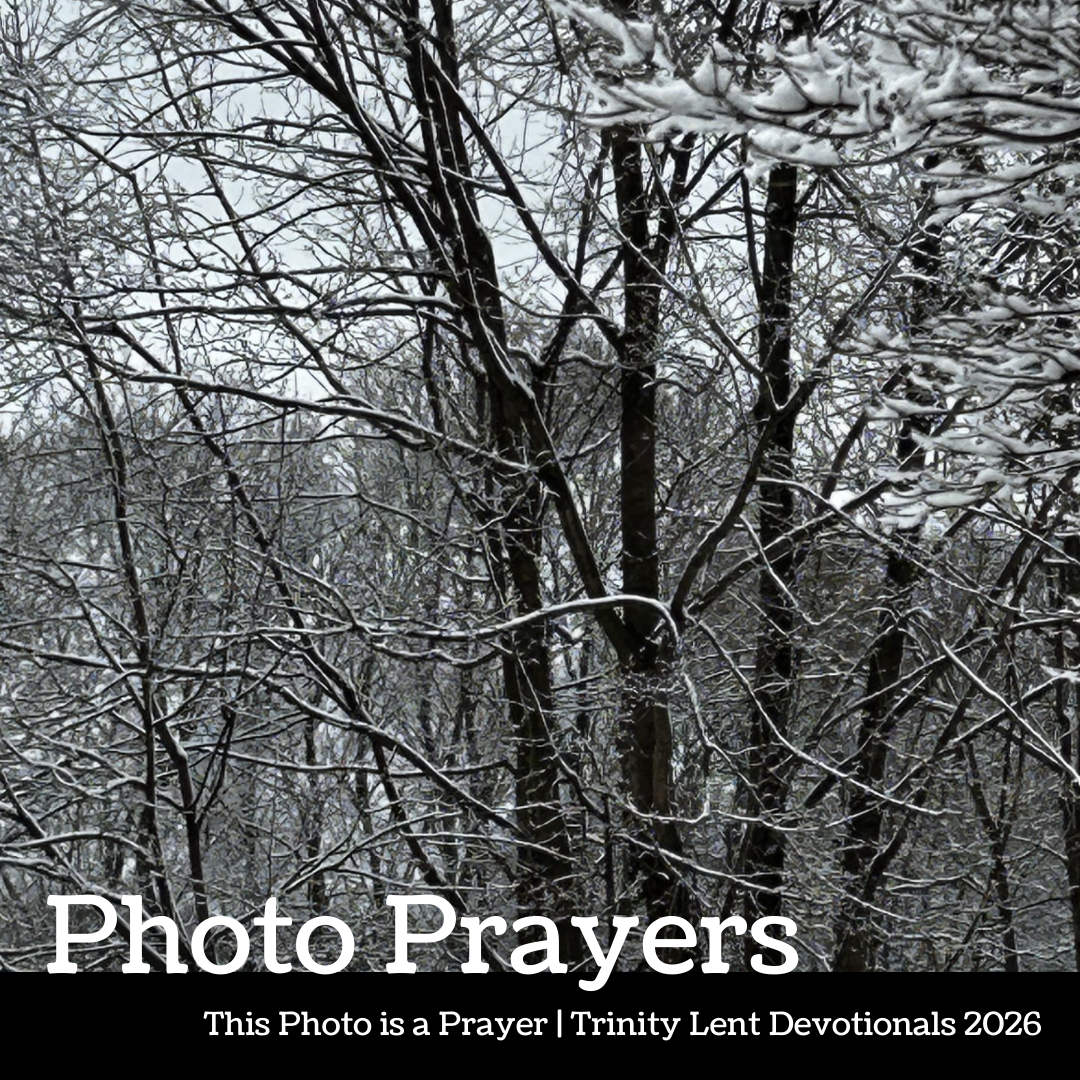 Photo Prayer: from Maureen Wagner
