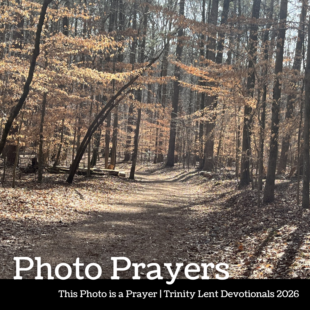 Photo Prayer: Barb Hedberg