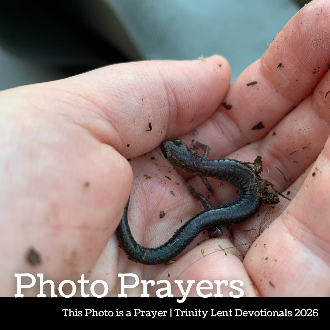 Photo Prayer: Clarke Mortensen