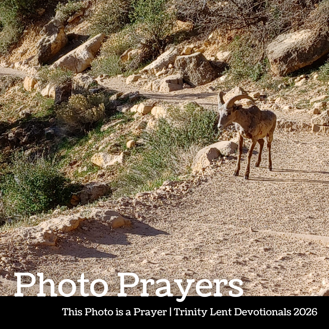 Photo Prayer: Heather Cochran