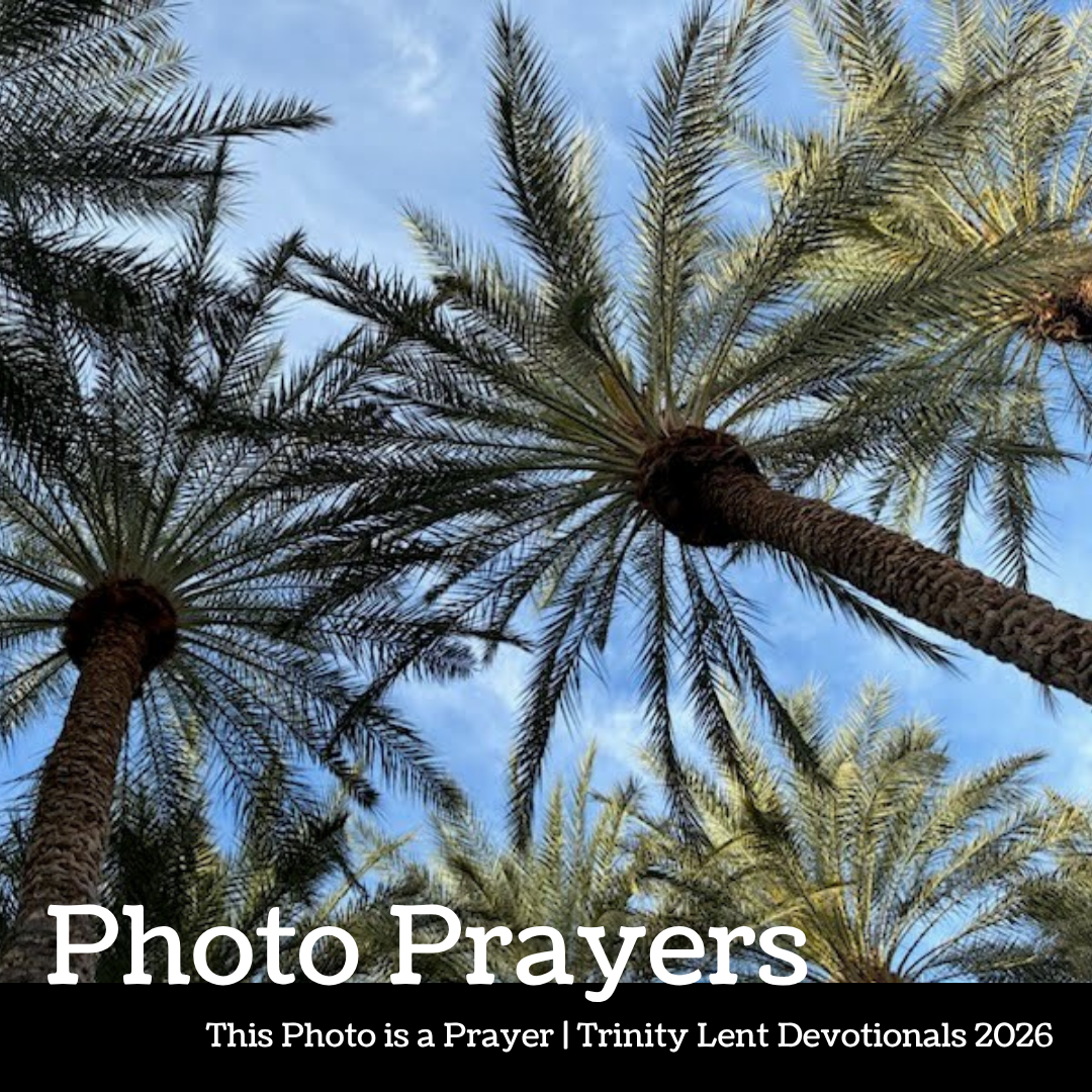 Photo Prayer: Donna Violante