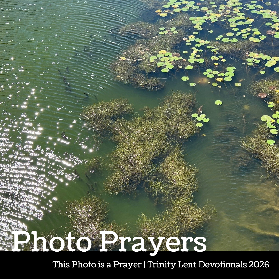 Photo Prayer: Maria Brandriff