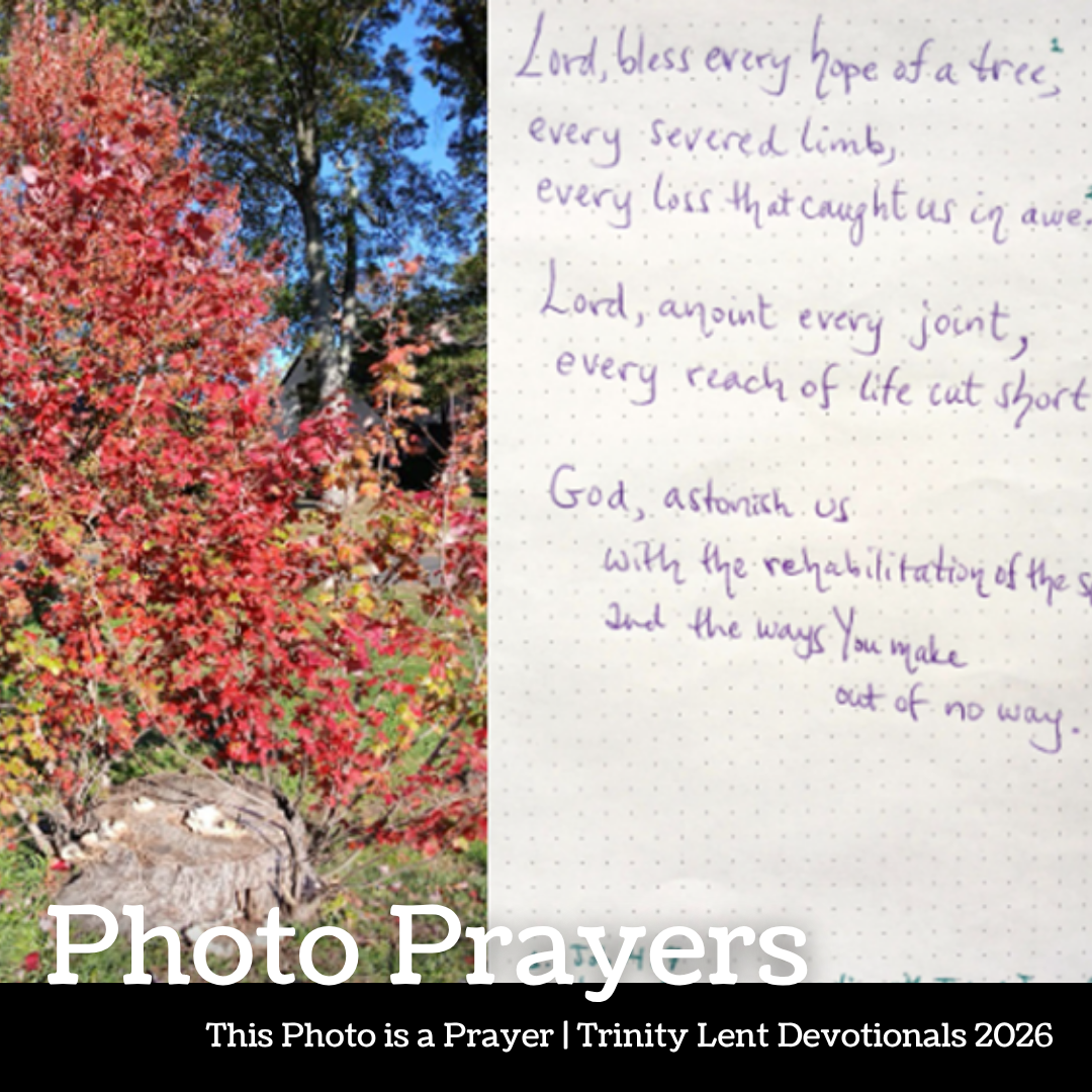 Photo Prayer: Ashley Makar