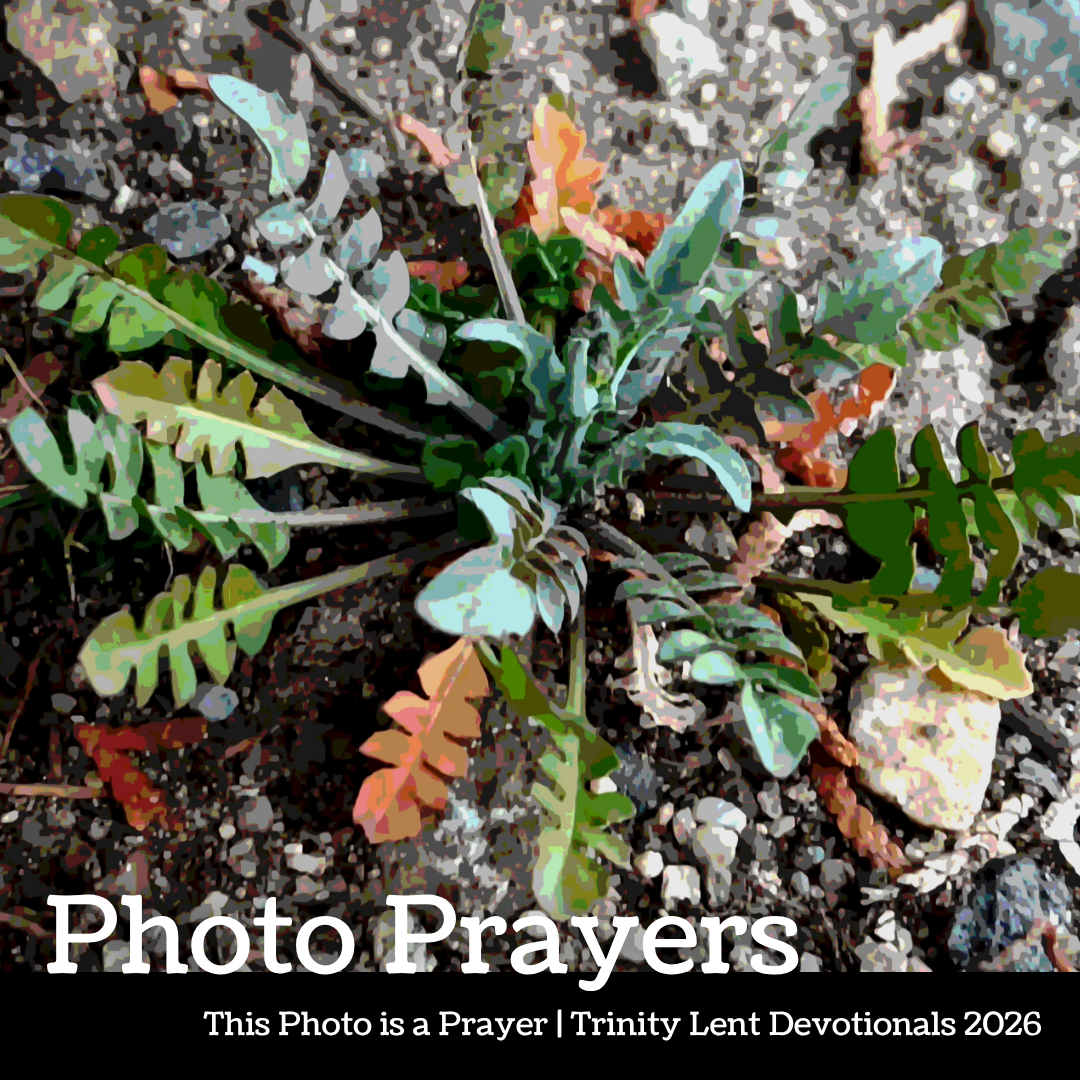 Photo Prayer