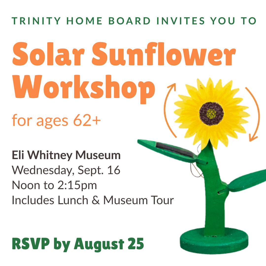 Trinity Home Board: Solar Sunflower Workshop