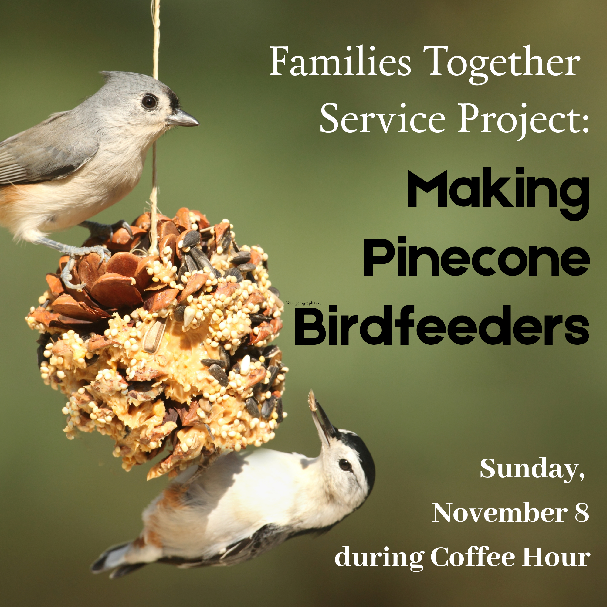 Families Together Service Project: Making Birdfeeders