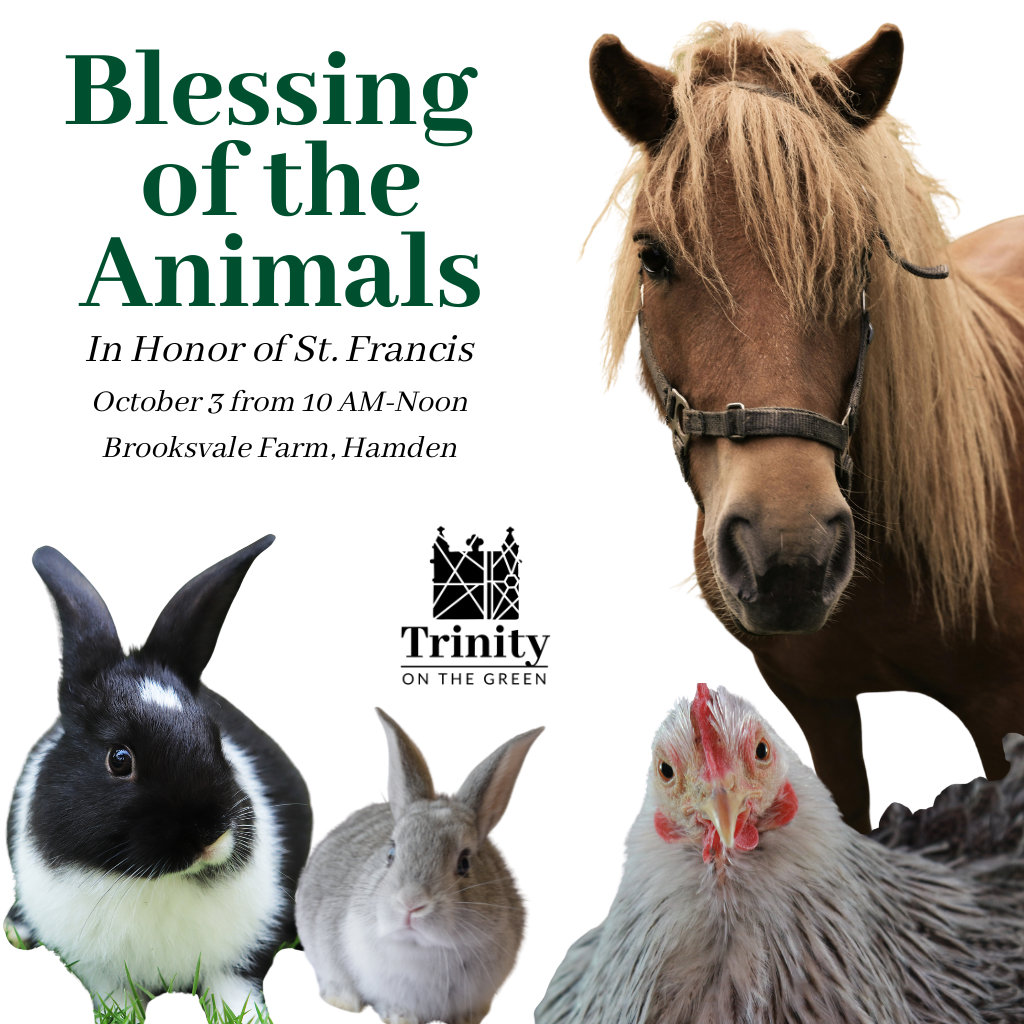 Blessing of the Animals