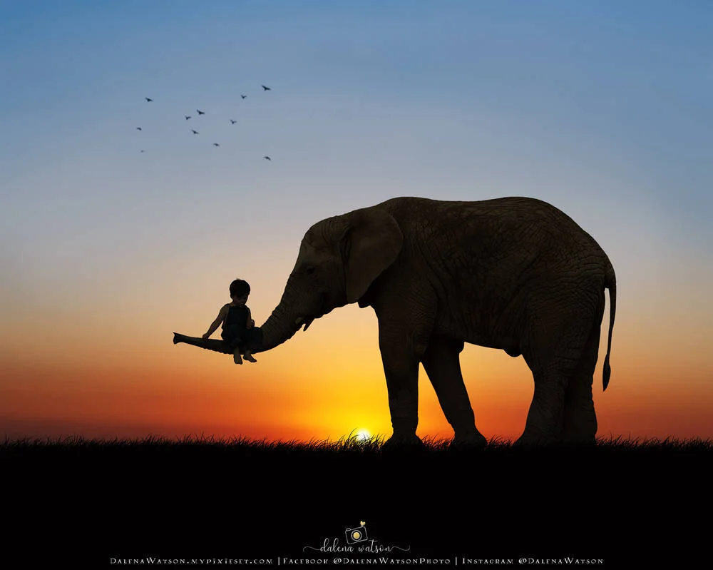 A boy and an elephant.jpeg