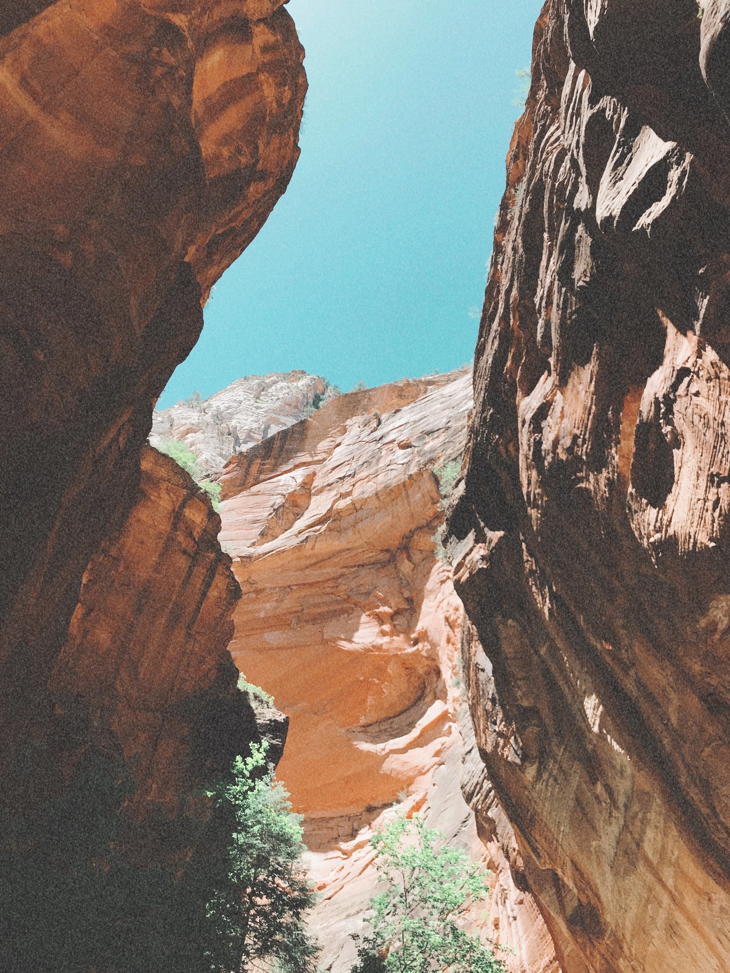 AfterlightImage 18.JPG