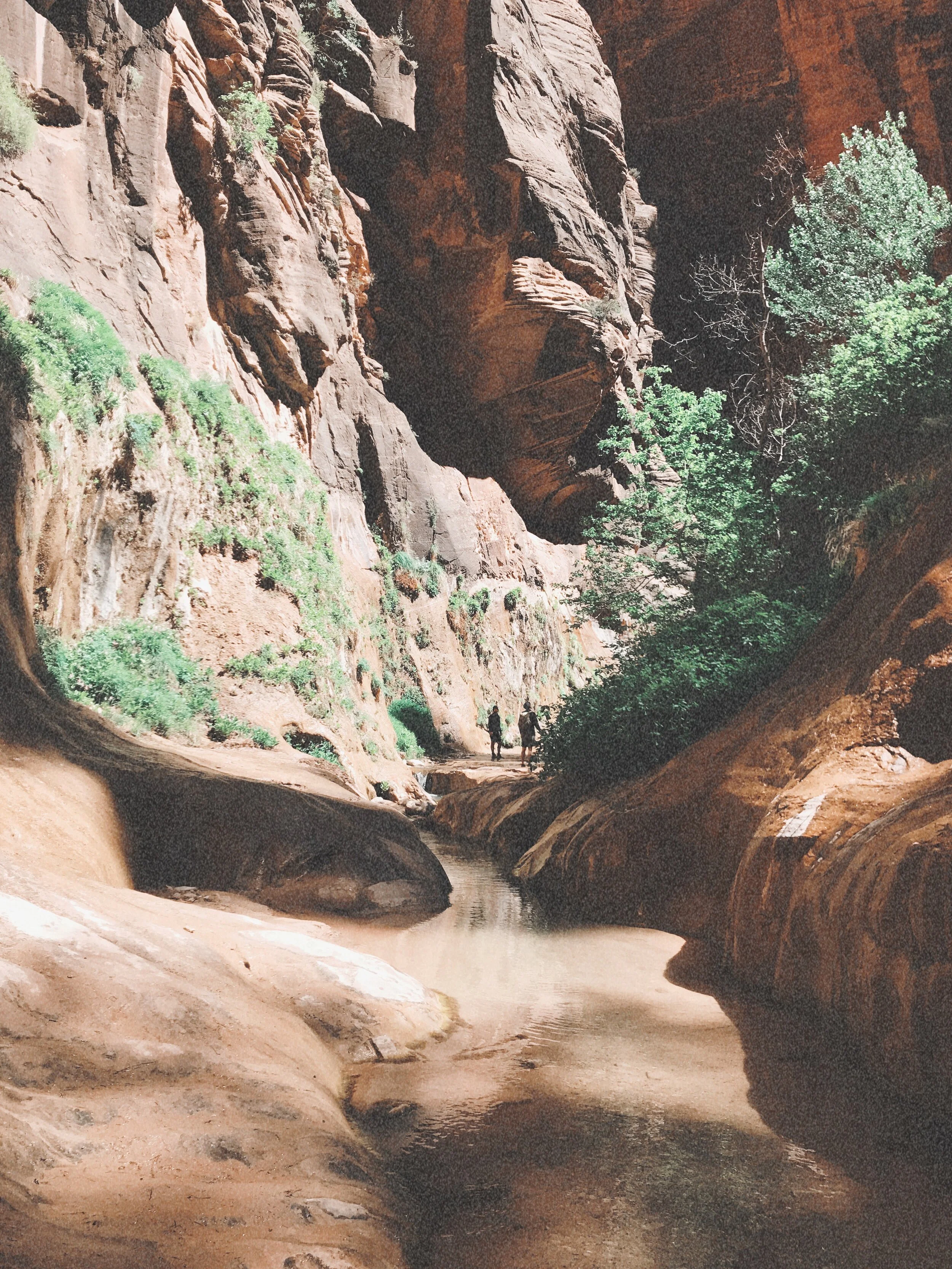 AfterlightImage 5.JPG