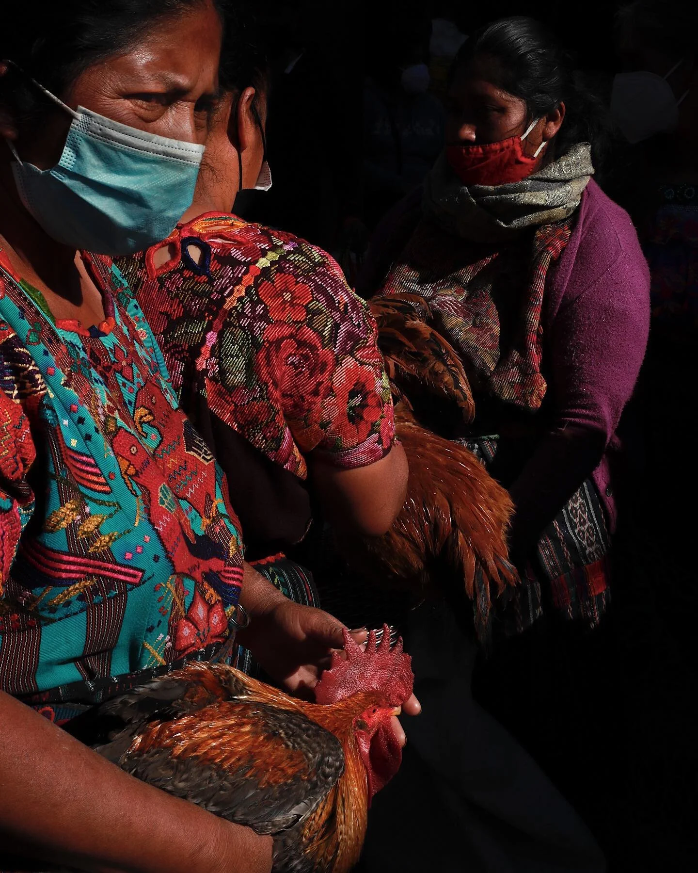 Ready for the weekend? 
Women line the streets on Sunday mornings to sell their roosters at the Chichicastenango Market in Chichicastenango, Guatemala (known as Chichi for short). 

#TracingThought #ADeeperUnderstanding #Photojournalist #Filmmaker #D