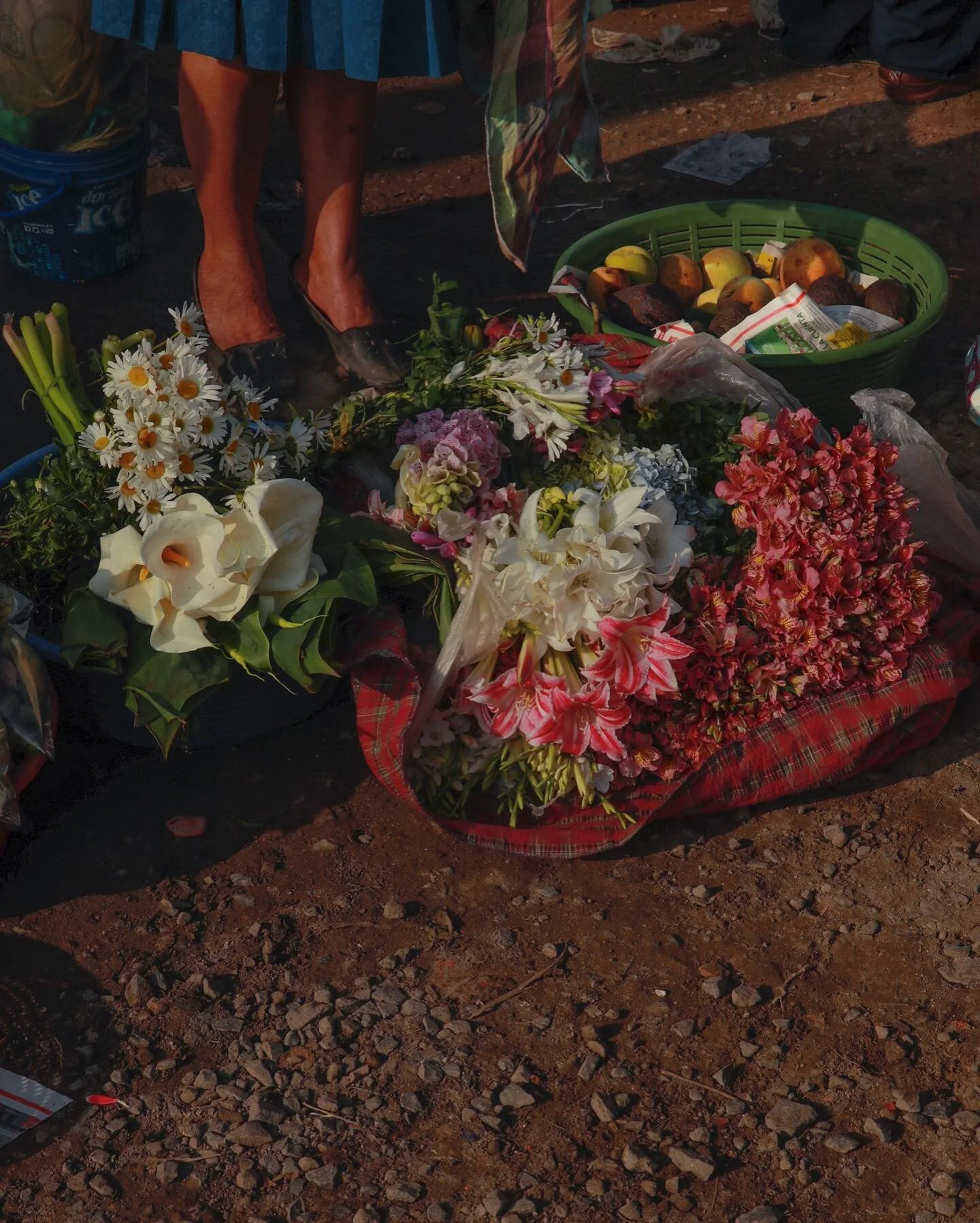 Apples &amp; Avocados 🥑 

#TracingThought #ADeeperUnderstanding #DocumentaryFilmmaker #Photojournalist #FemaleFilmmaker #SundayReels #Guatemala #AntiguaMarket #FreshProduce #FarmersMarkets #GuatemalaMarket #GuatemalaFarmersMarket #Produce #FarmersMa