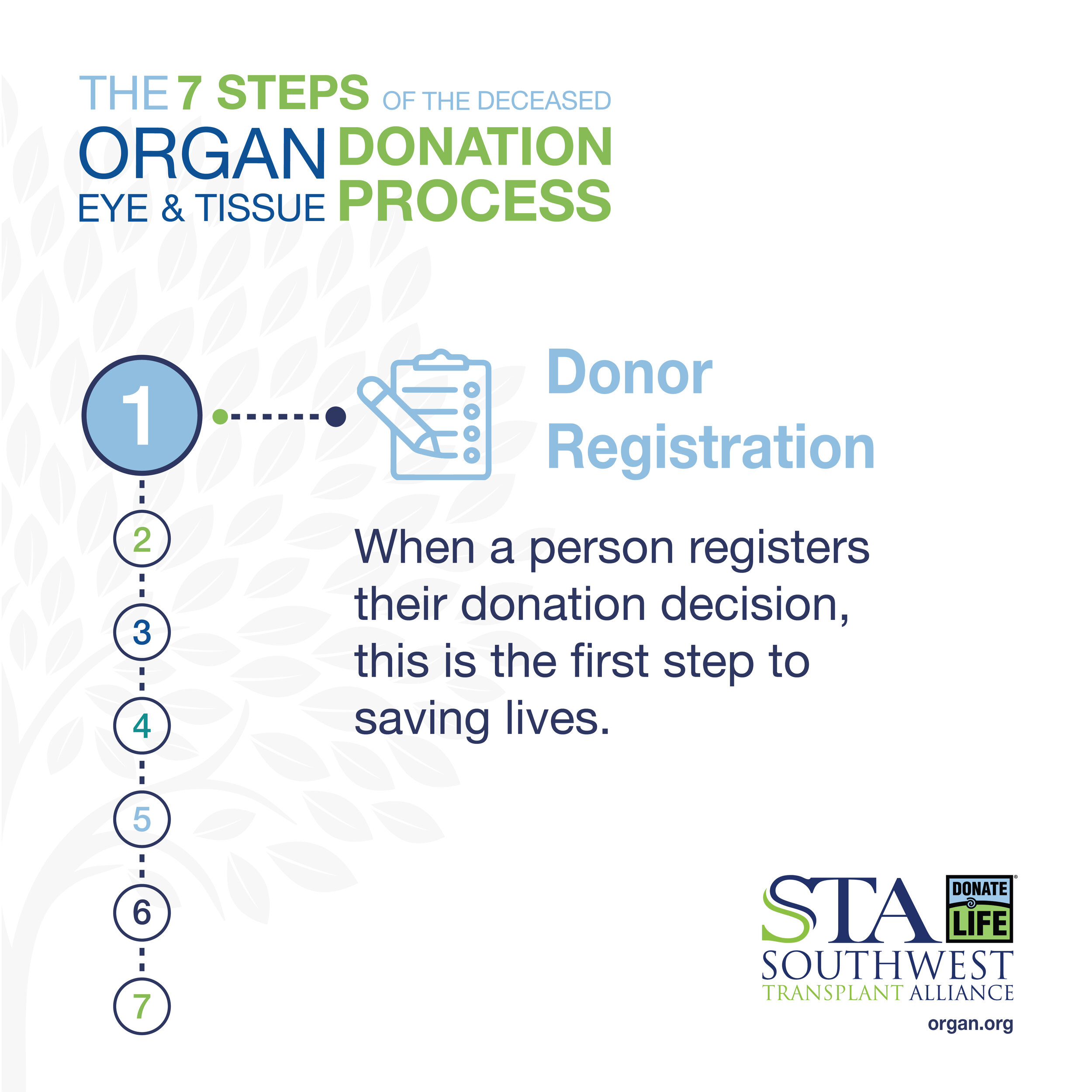 STA Donation Process Graphic_SOCIAL VERSIONS-01.jpg