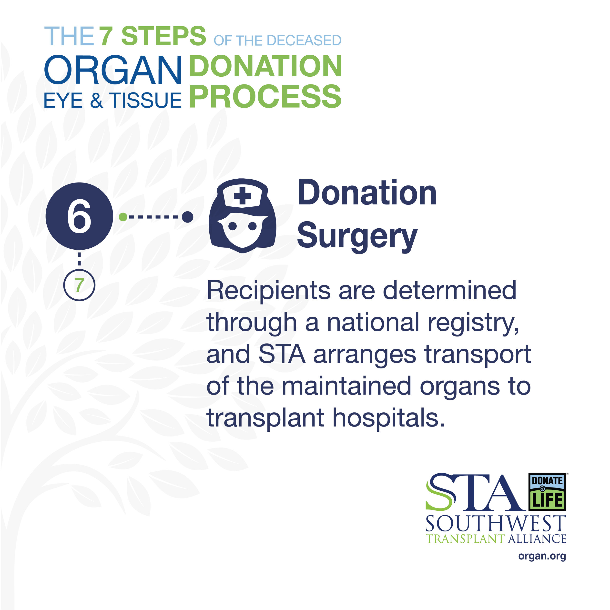 STA Donation Process Graphic_SOCIAL VERSIONS-06.jpg
