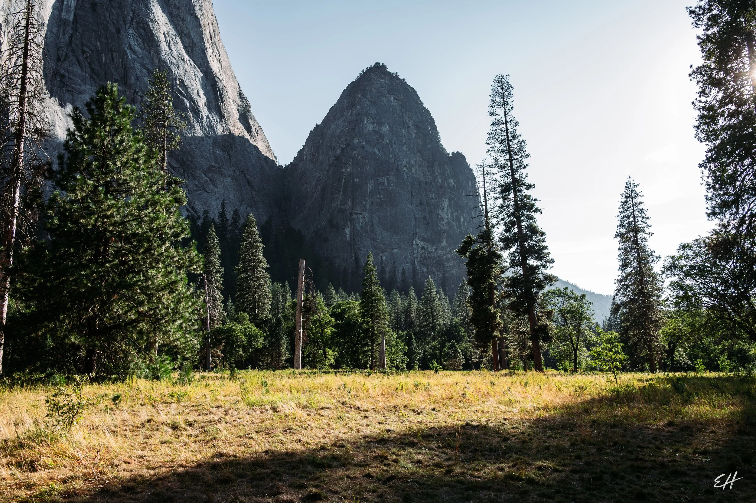 YNP26-48.jpg