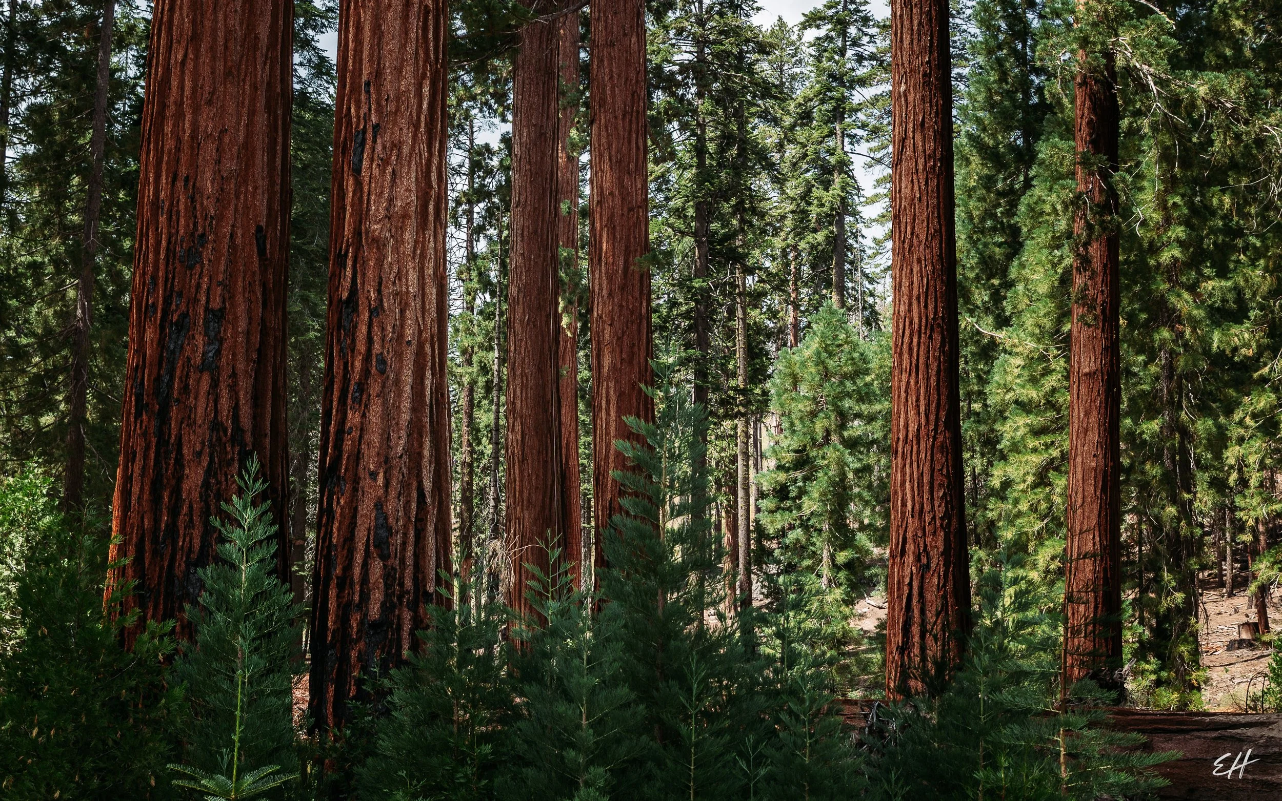 YNP26-76.jpg