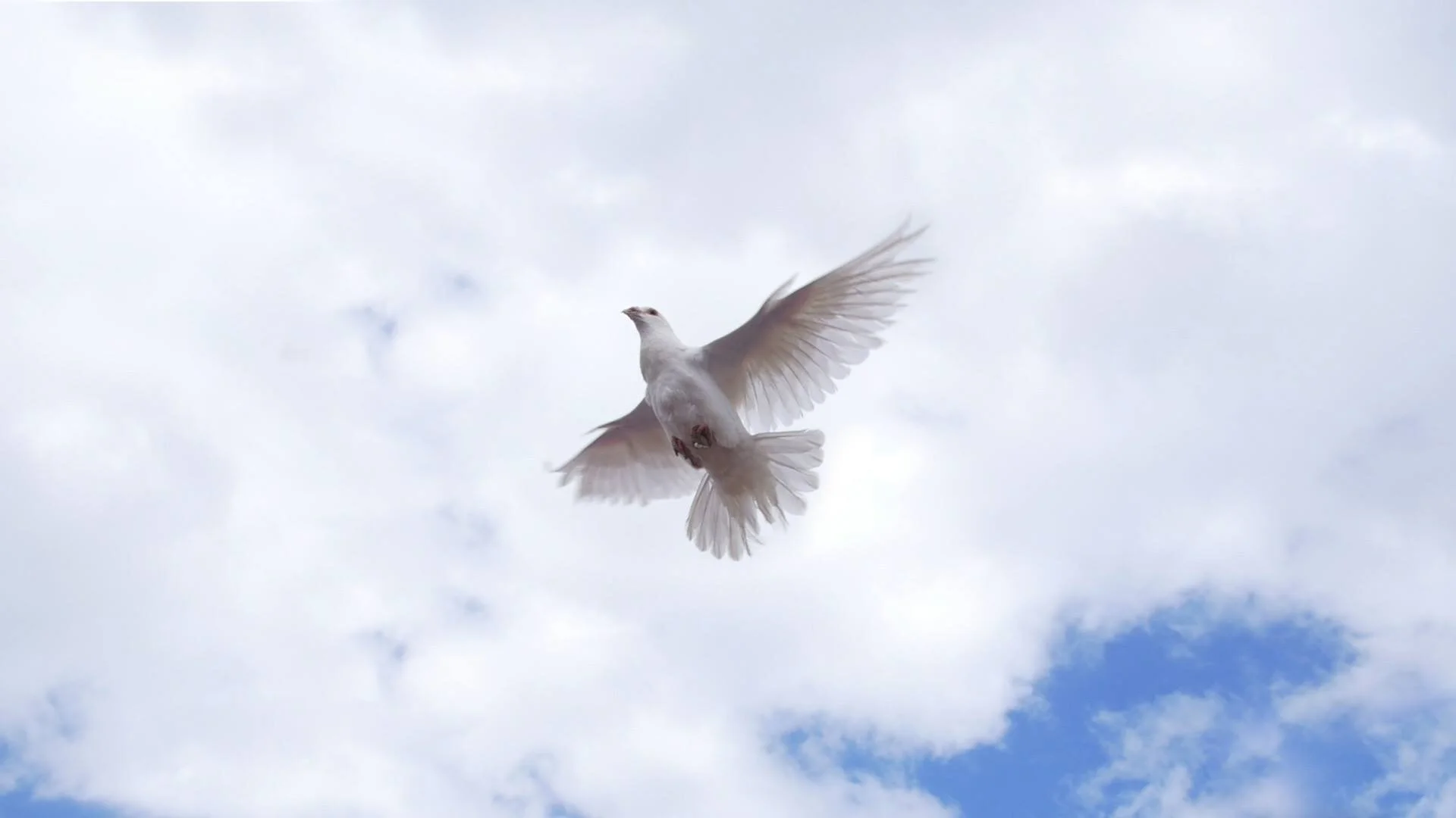 The Kula Catholic Community Donation