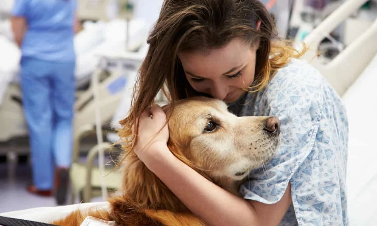 ‘Dogs have a magic effect’: how pets can improve our mental health