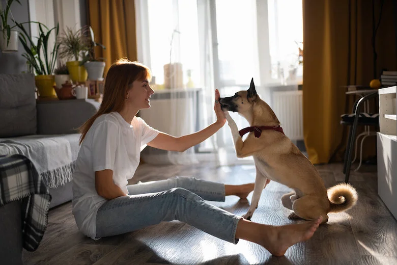 Teach Your Dog a New Trick While You’re Stuck At Home