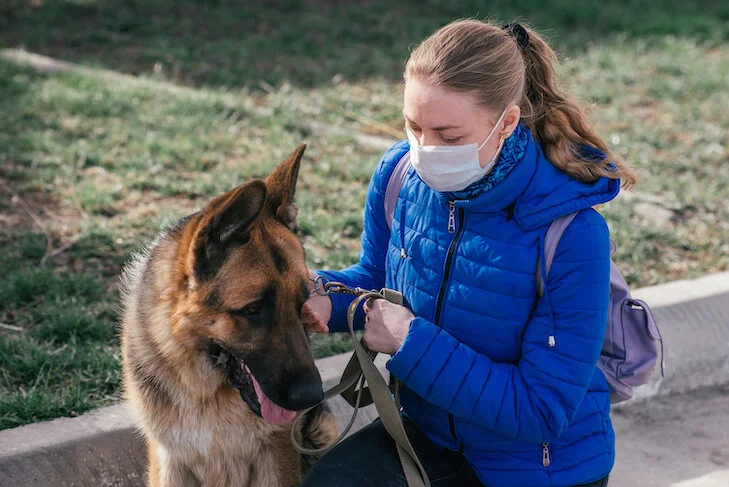 Training Dogs to be Comfortable Around People in Face Masks