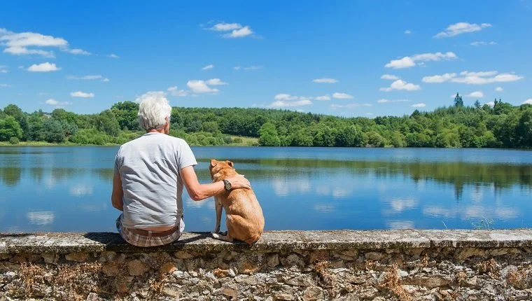 5 Ways To Make Your Dog’s Last Days Their Best Days