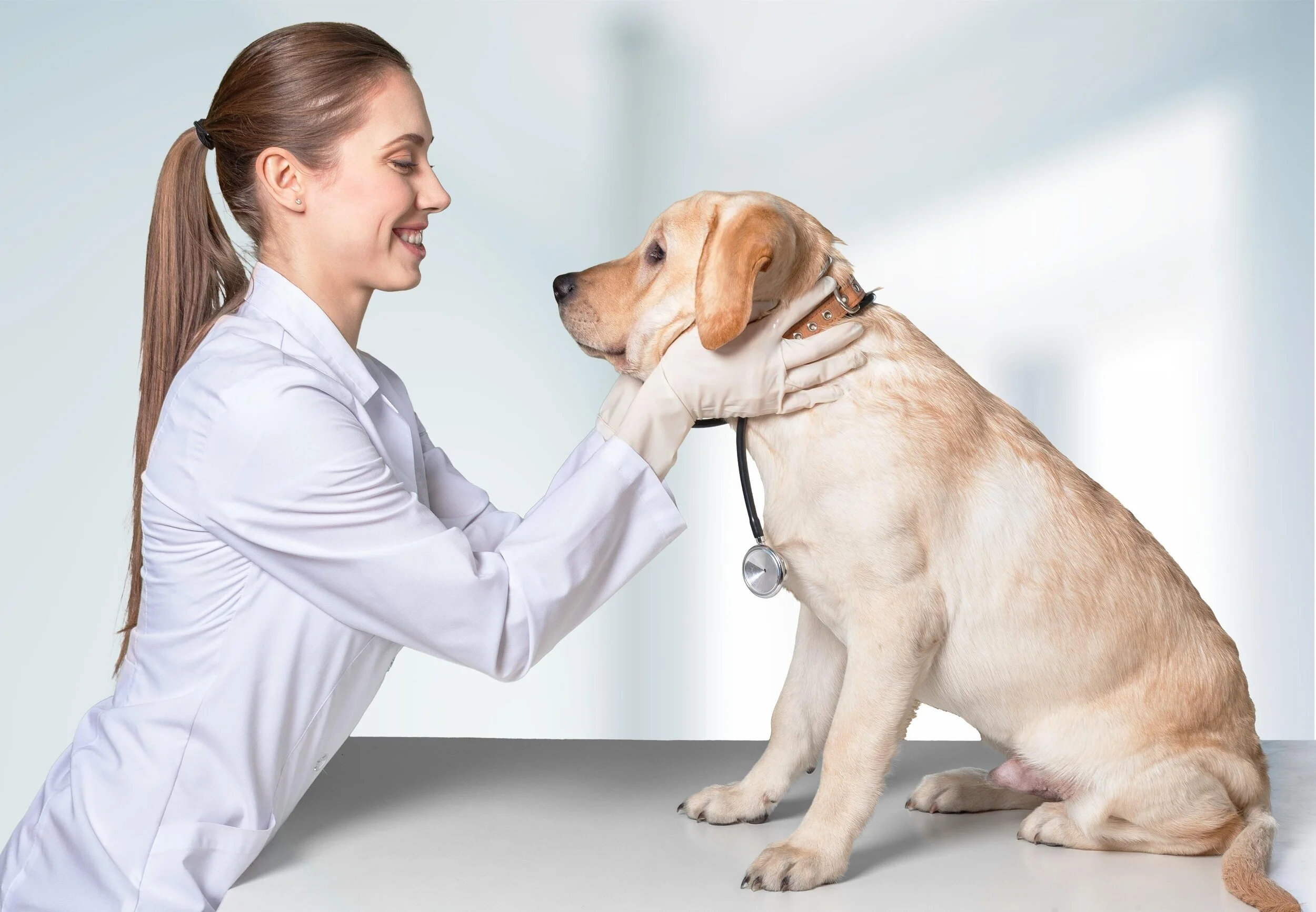 Keeping Fear out of the Exam Room