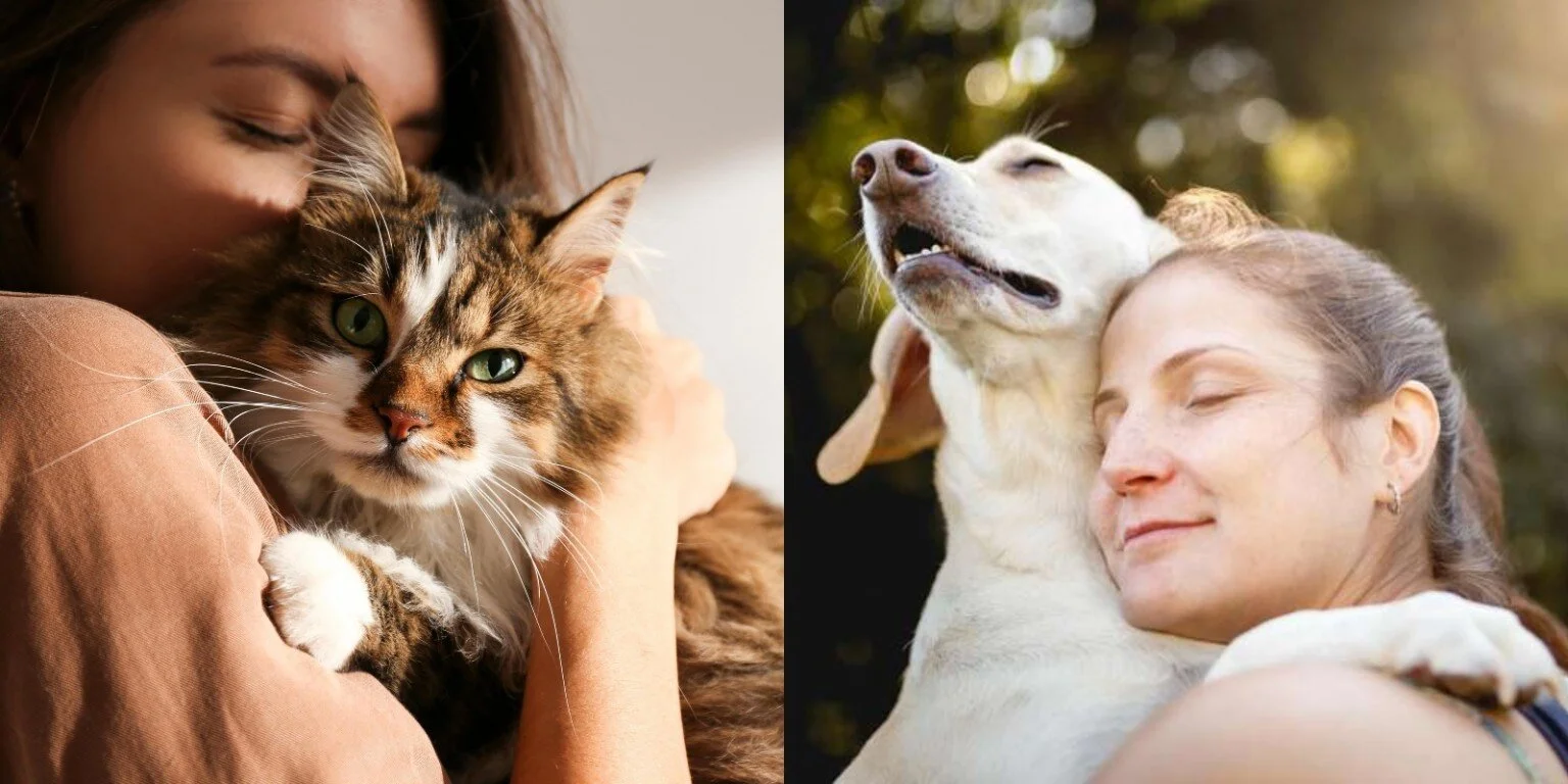 Benefits of Pet Ownership: 6 Reasons Why You Should Adopt A Pet