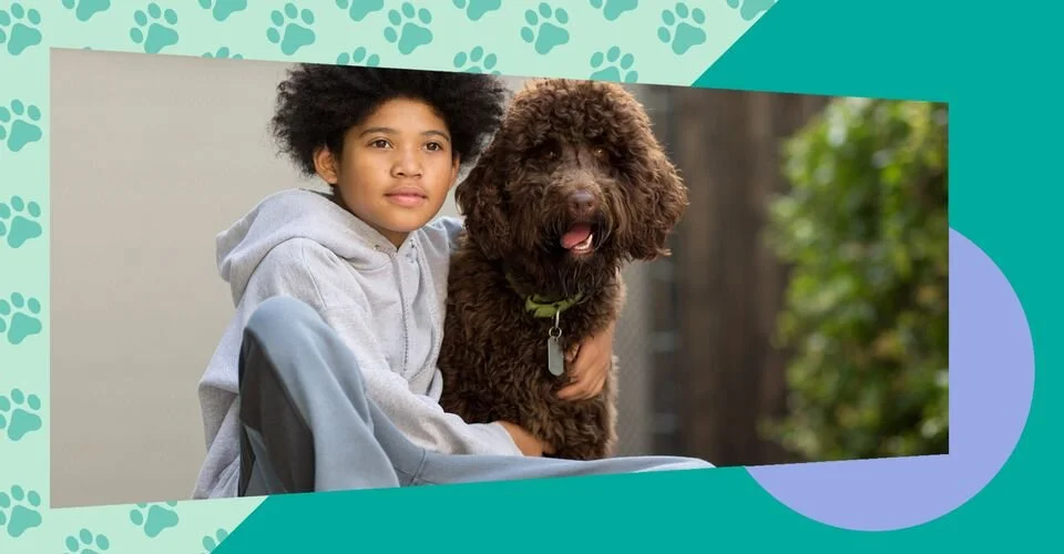 How Adopting A Pet Benefits Your Child