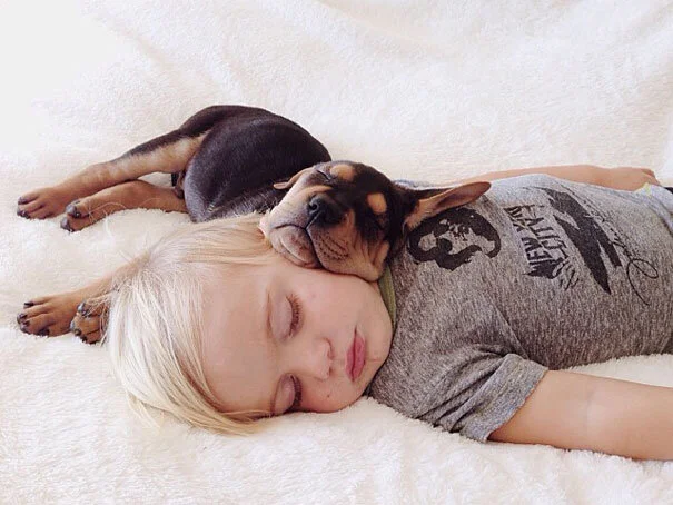Science Says Kids Who Sleep Next to a Pet Get Better Quality Rest