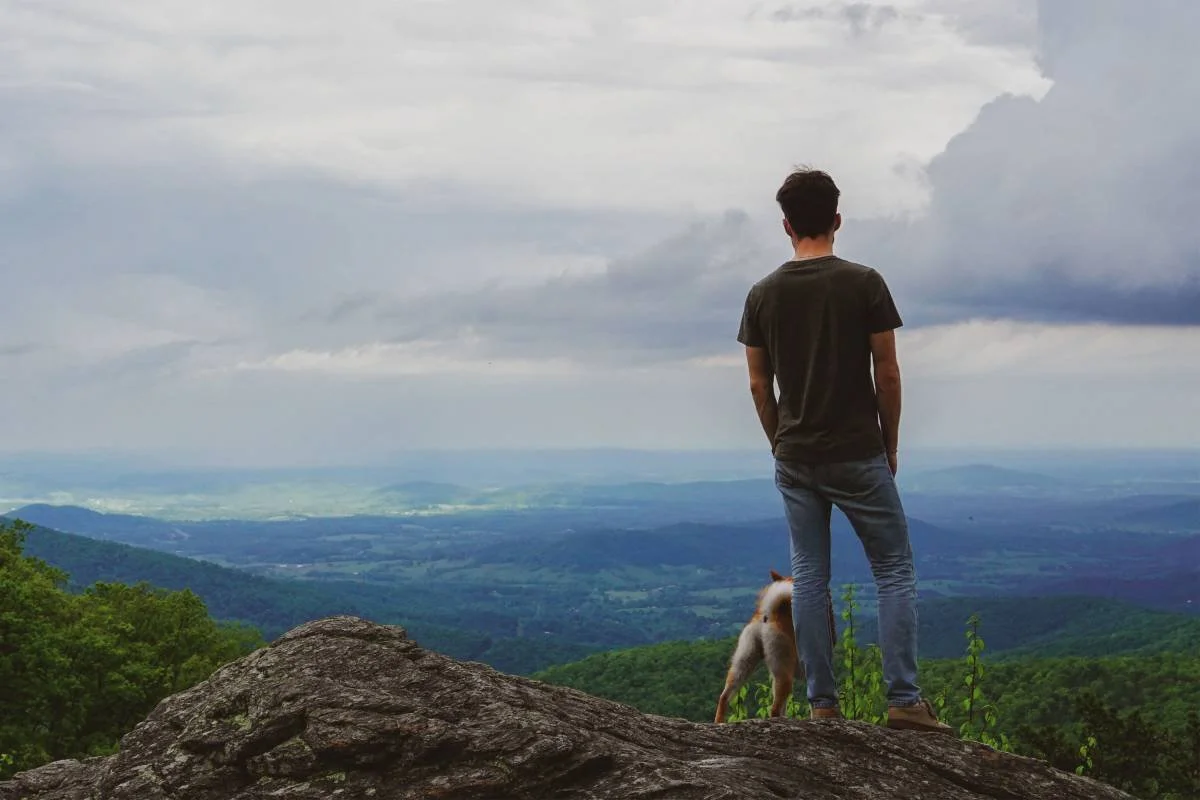 The 7 Best National Parks to Visit With Dogs