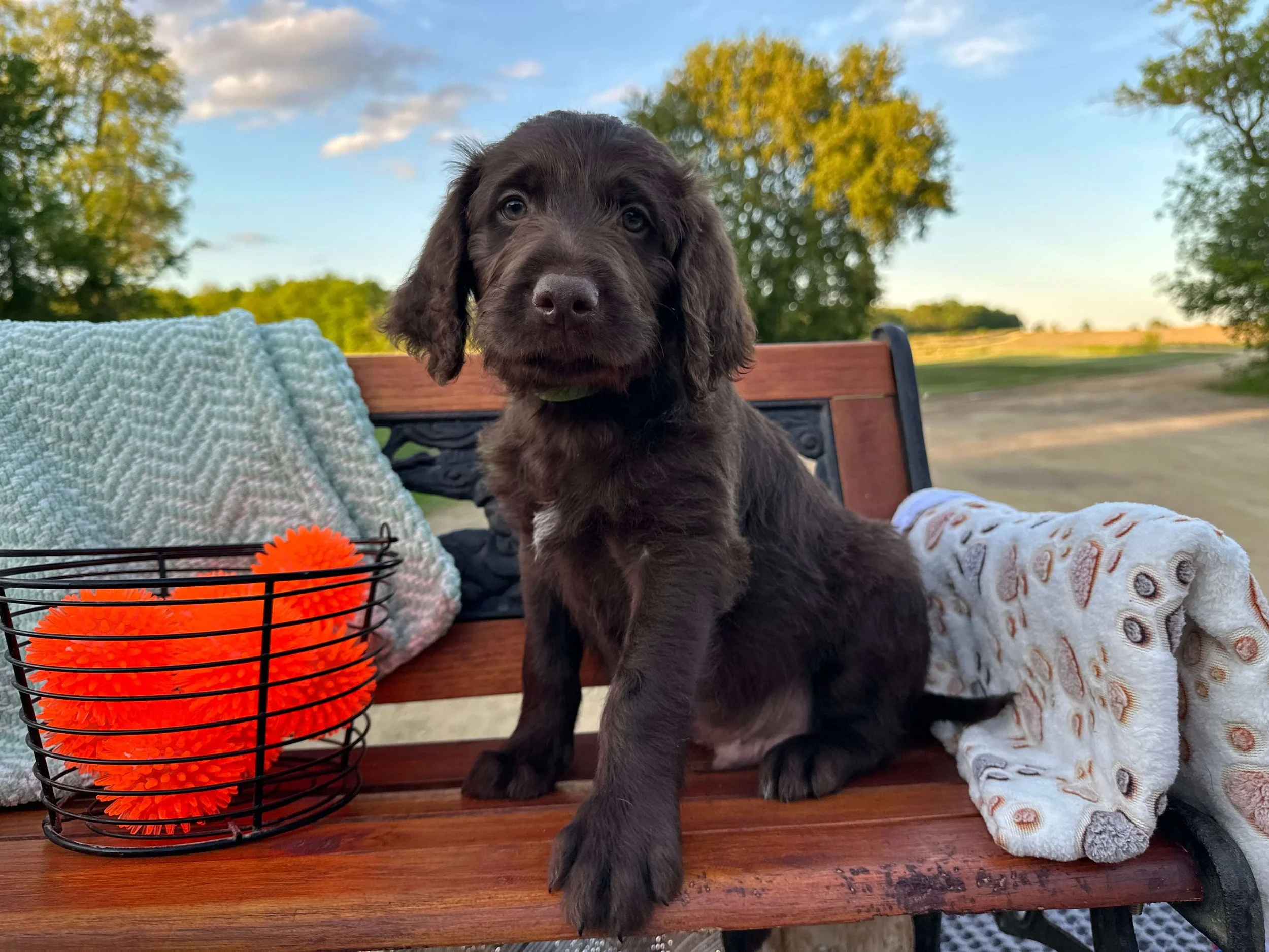 Johnnie Walker 11.jpg